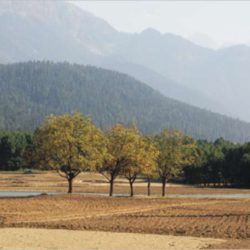 pahalgam_golf_course_kashmir_02